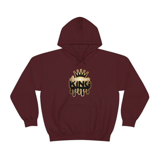 Aquarius Sweatshirt